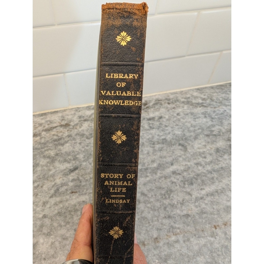 Library Of Valuable Knowledge: Story Of Animal Life Hardcover Book